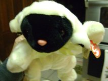 "Ty" Plush Lamb Beanie Buddy - NWT in Luke AFB, Arizona